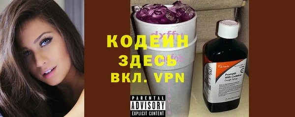 твердый Абаза