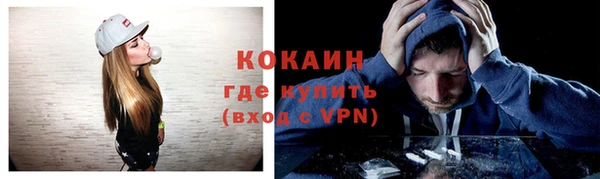 твердый Абаза